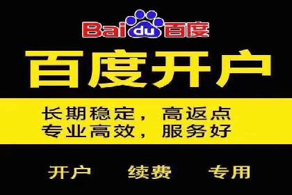 百度推广代运营案例：案例解析：如何实现快速转化